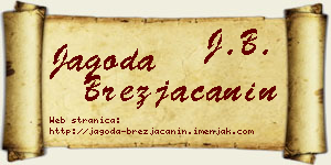 Jagoda Brezjačanin vizit kartica